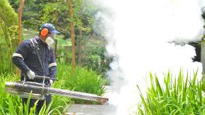 Best Organic or Eco-Friendly Pest Control  in Amesti, CA